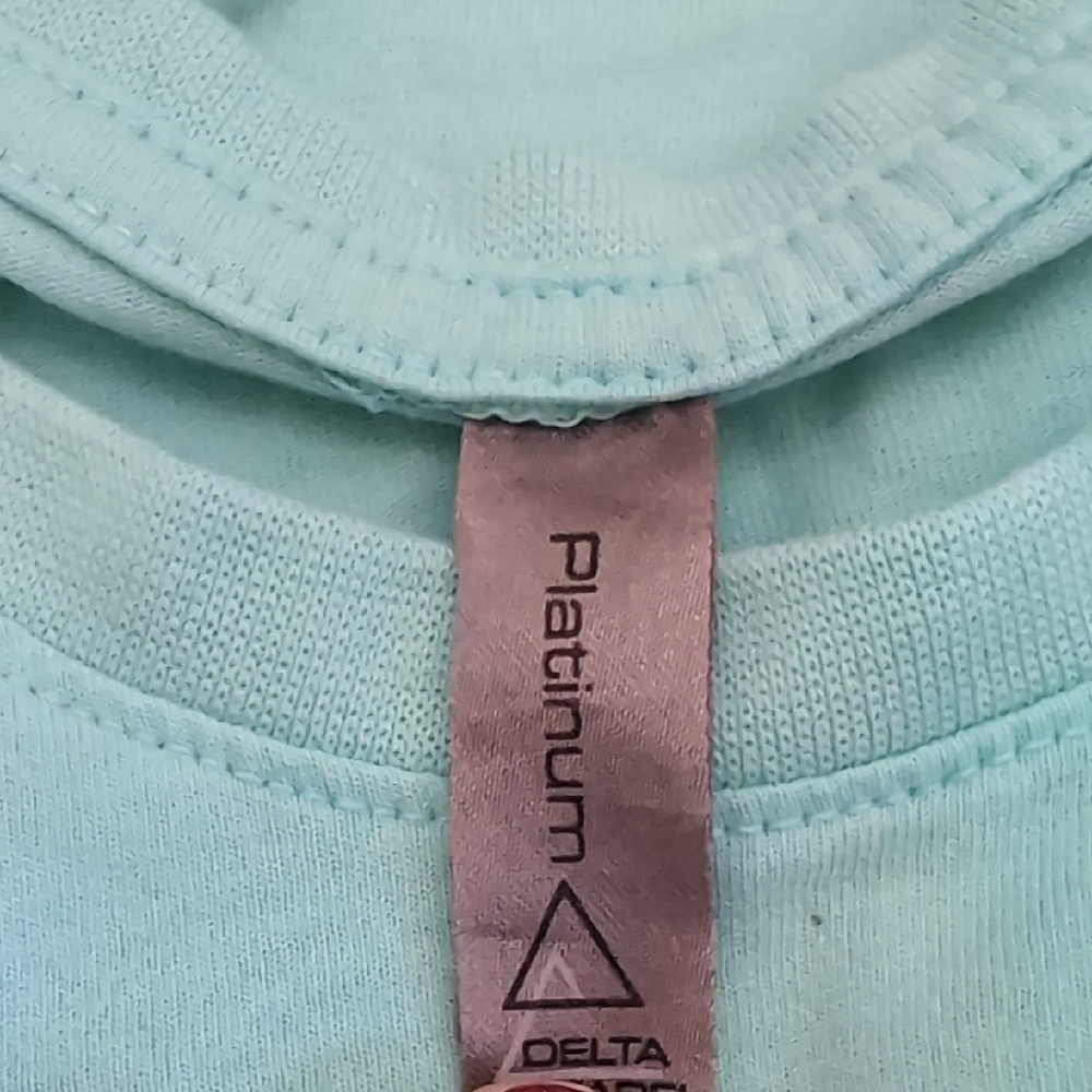 Sassy Salty Long Sleeve Shirt in Aqua By Southern Attitude - Picture 5 of 6